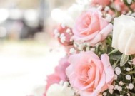送鲜花，能否挽回婚姻（探究送花的心理学与实际效果）