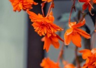 如何用句子表达对故人的思念？有哪些表达思念故人的经典句子？