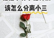 如何挽回被第三者插足的爱情（15个实用技巧）