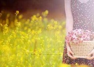 离婚后如何保持正能量？分享经典正能量语录帮助你重拾信心！