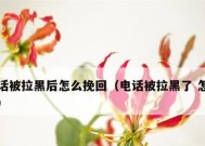 挽回被拉黑的爱情（如何让对方重新打开心扉）