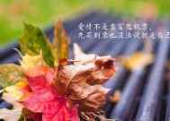 如何挽回失去的爱情（15个句子教你重新获得爱情的信任）