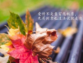 如何挽回失去的爱情（15个句子教你重新获得爱情的信任）