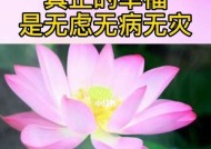 花镇情感如何让家庭更幸福？常见问题解答？