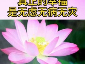 花镇情感如何让家庭更幸福？常见问题解答？