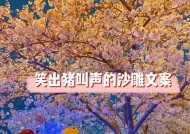 如何挽回沙雕的女生？挽回过程中常见的问题有哪些？