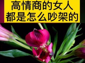吵架后如何修复关系？挽回爱情的有效方法是什么？