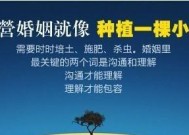 如何修复婚姻关系？掌握哪些技巧能有效改善夫妻关系？