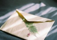 分手后如何挽回羊男的心（如何重建失去的感情）