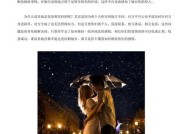 异地恋挽回攻略要怎么制定？这几个招数能帮你解决问题吗？