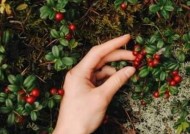 如何测试你的另一半是哪种人？测试方法和常见问题解答？