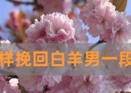挽回白羊座的心，这些方法一定要用（从态度到行动）