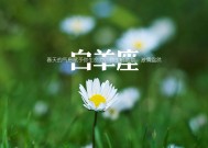 白羊座女性面对伴侣出轨会怎么做？如何处理婚姻危机？