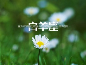 白羊座女性面对伴侣出轨会怎么做？如何处理婚姻危机？