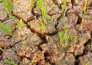 气候大势定了：如若不出意外，2026年中国极端天气可能会迎3变化