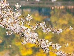 从懵懂到现实——一个以婚外恋情为始的故事（他和她的感情路程）