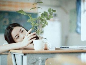 情人突然分手，如何挽回（从自我反思到行动计划）