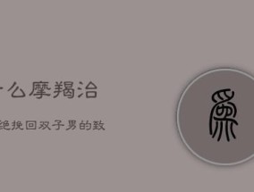 挽回摩羯男的心（15个实用方法）