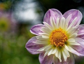 成功者必备心态（15个让你成功的关键心态）