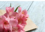 缘分真的可以挽回吗？如何修复破裂的关系？