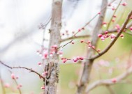 表现时间倒流的成语？有哪些成语可以形容时间倒流？