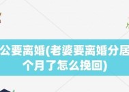 老公要求分居，如何挽回婚姻（探讨夫妻关系变质的原因及解决方法）
