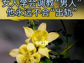 男人对你撒娇暗示什么？如何正确解读他的情感信号？