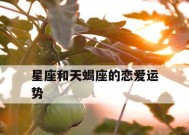 处女座男生谈恋爱时对另一半的态度和行为表现是怎样的？
