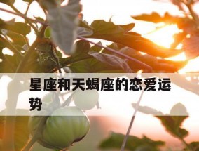 处女座男生谈恋爱时对另一半的态度和行为表现是怎样的？