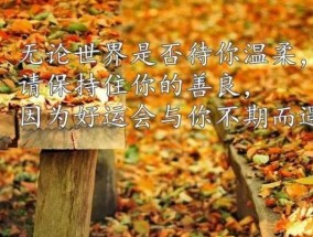 如何应对低情商的朋友？有效沟通的策略是什么？