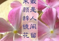 挽回亲人，经典语录助你成功（用经典语录化解亲人之间的隔阂，修复关系和谐）