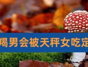 2023年摩羯男和天秤女复合的可能性有多大？
