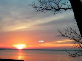 如何缓解亲人离世后的痛苦（走出亲人去世的阴影）