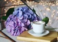 情感挽回男友花束女生高级？如何挑选最能打动他的花束？