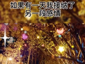 用温柔简短的文案如何挽回感情？有效挽回感情的文案技巧是什么？