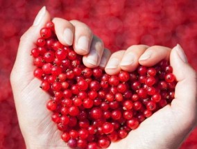 「以爱情测试」之收获（这是如何让你更了解自己的关键）