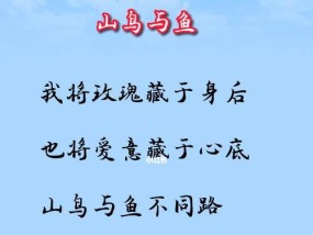 猫狗相处的常见问题有哪些？如何解决它们的冲突？