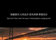 离婚后如何挽回老婆的温柔秘诀（用爱和耐心重新赢回她的心）