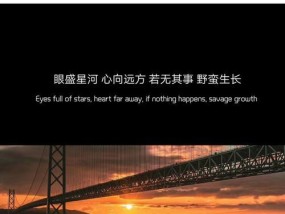 离婚后如何挽回老婆的温柔秘诀（用爱和耐心重新赢回她的心）