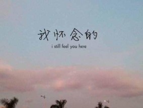 表白后如何挽回友情？有效策略和建议是什么？