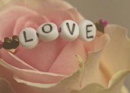 情人节之道（15个让你与心仪对象产生缘分的小技巧）