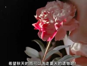 如何用可爱句子挽回恋爱？女生挽回爱情的文案有哪些？