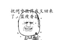 如何处理养宠物时的挫折感和不快？