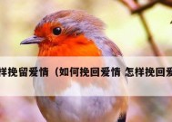 触碰女生底线后如何挽回？有效沟通和补救措施是什么？