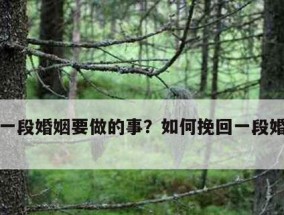 出轨后的婚姻如何挽回（探寻出轨原因）