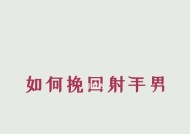 分手后挽回射手男心法剖析（探寻射手男心理）