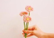 如何用暖心话安慰失去亲人的朋友？