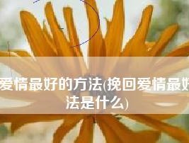 如何用最好的方法挽回夫妻感情（从沟通、理解到行动）