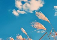 挽回感情的秘诀是什么？如何通过投其所好重建吸引力？