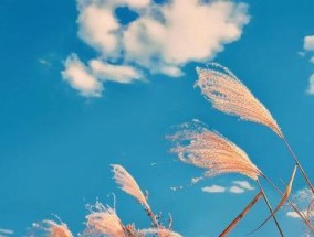 挽回感情的秘诀是什么？如何通过投其所好重建吸引力？